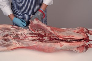 Meat Cut Spec Step 2